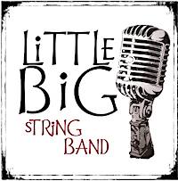 Come hear the vintage swing music of Little Big String Band with the Mecklenburg SAR on November 8 2018.